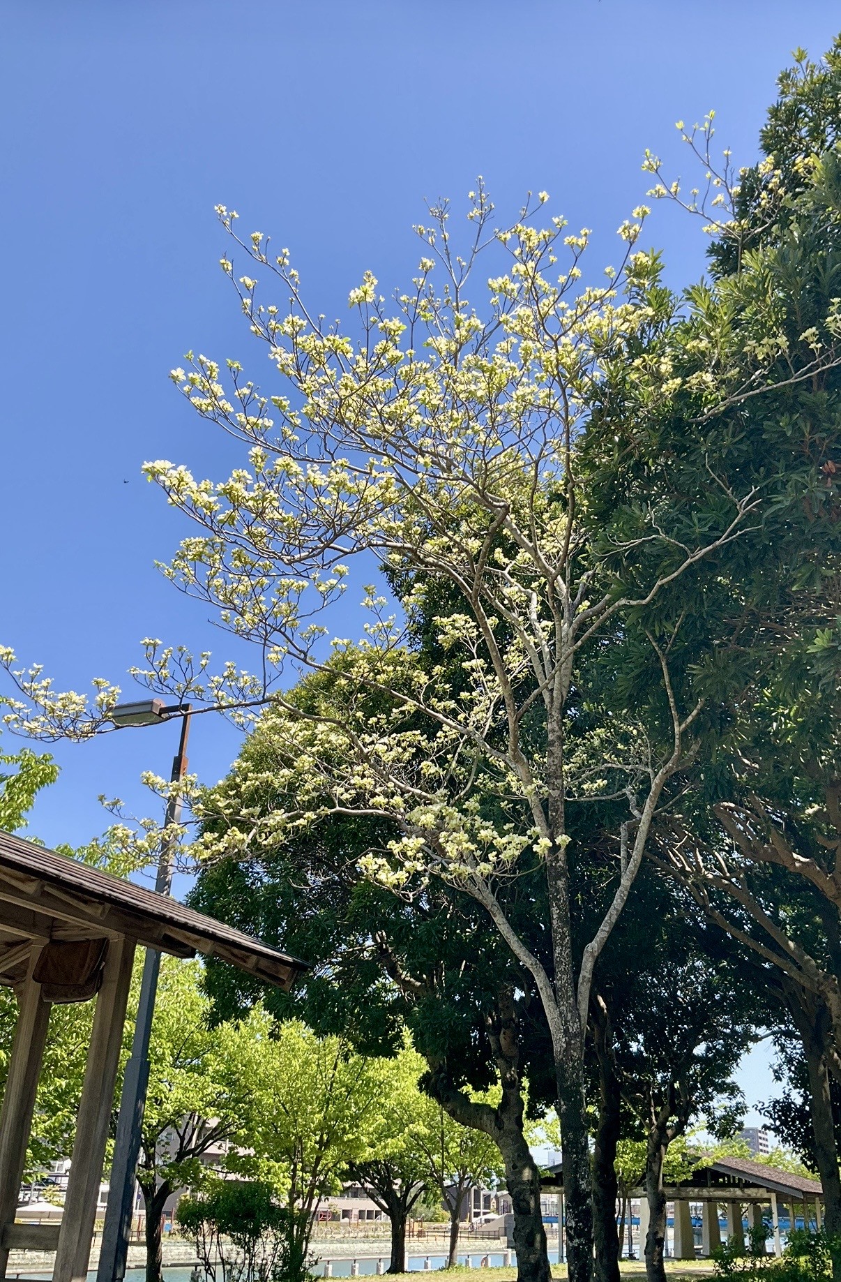 徳島中央公園